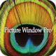 picture-window-pro-latest_icon